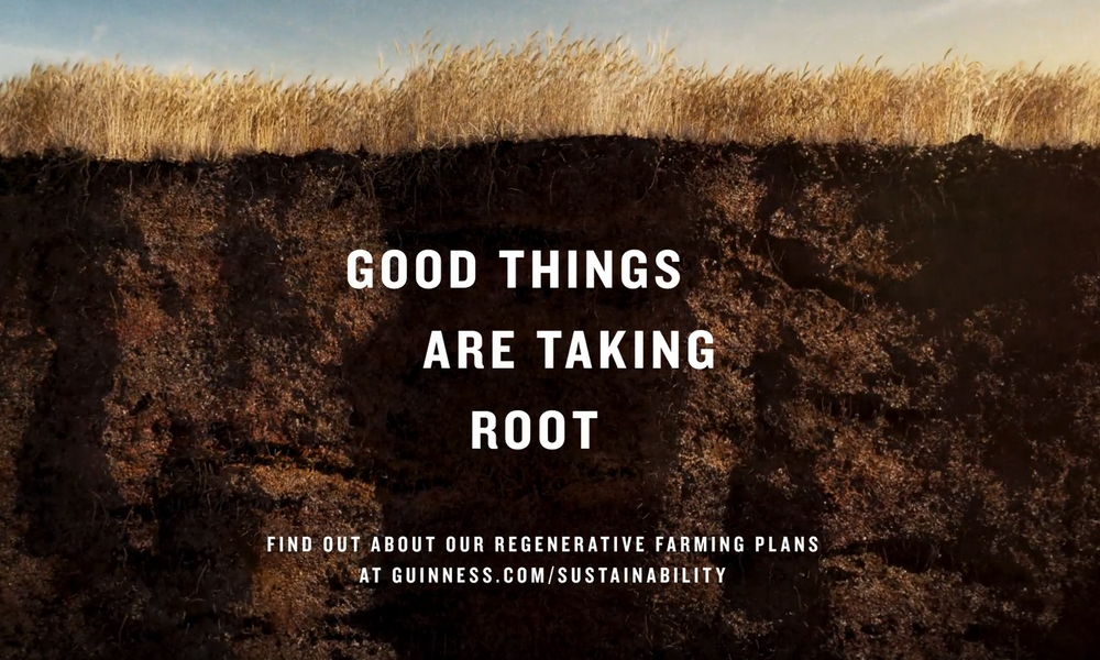 Good things are taking root