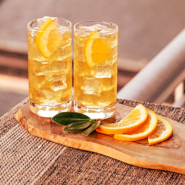 burst efterklang Stirre Gin & Ginger Ale Cocktail Recipe | The Bar