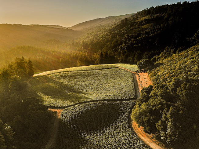 California region during sunset