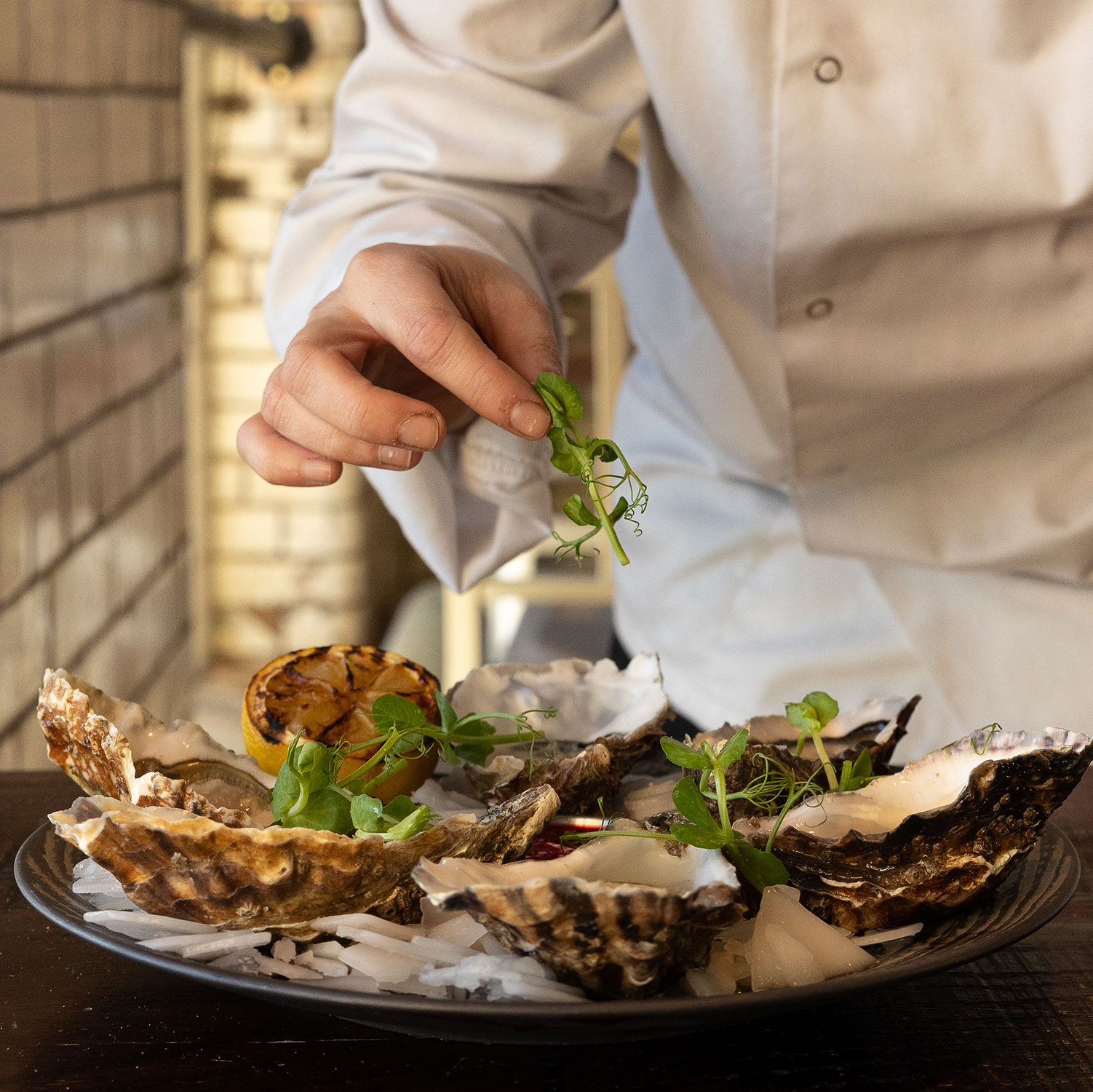 Chef dressing a plate of oysters with cress, plate is on a dark table