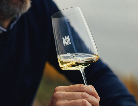 A person holding a wine glass with white wine