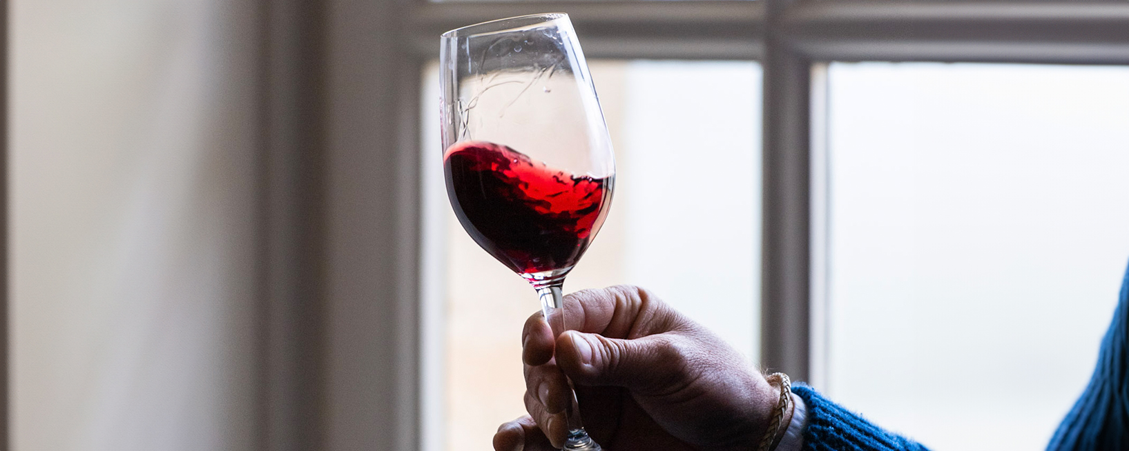 Person holding a red Burgundy wine