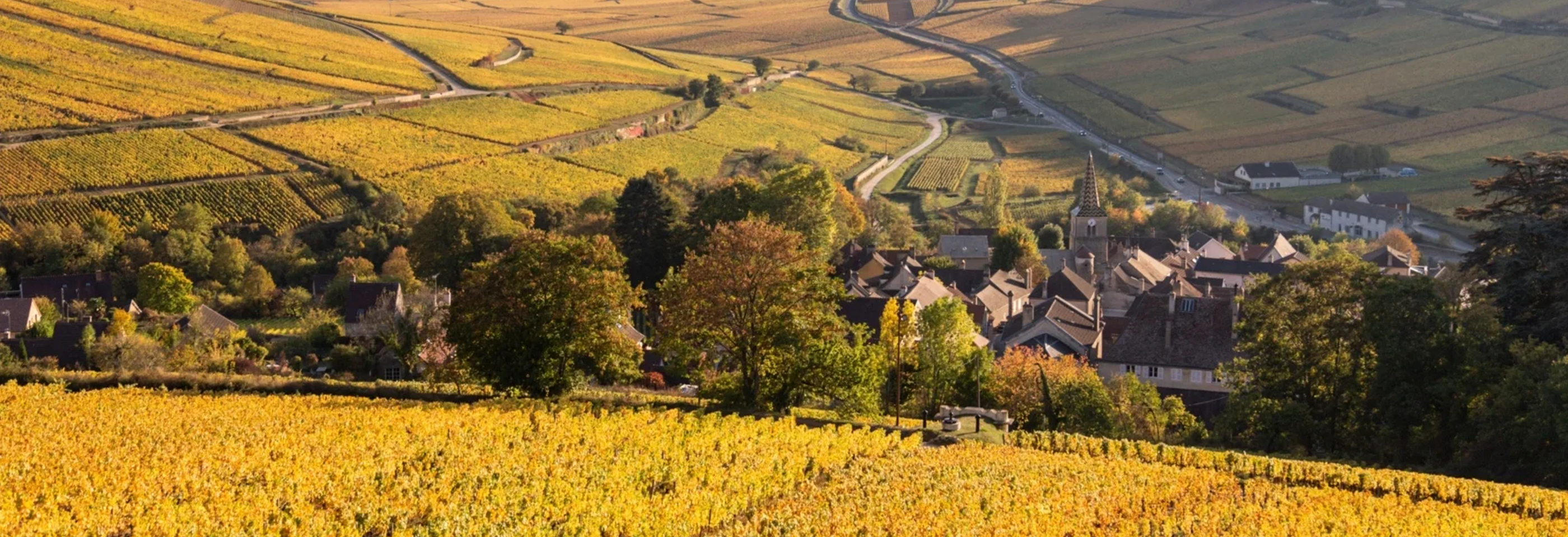 remi rollin landscape