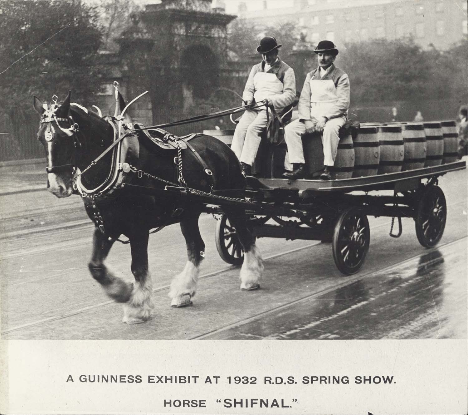 Black and white photograph of Guinness Exhibit at the 1932 Royal Dublin Society Spring Show Horse, ‘Shifnal’. 