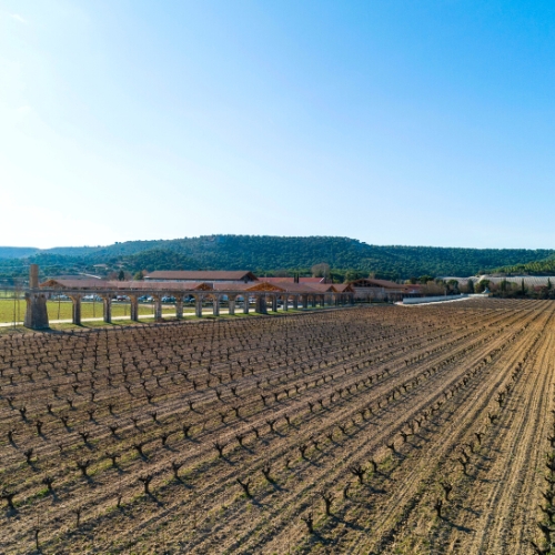 field