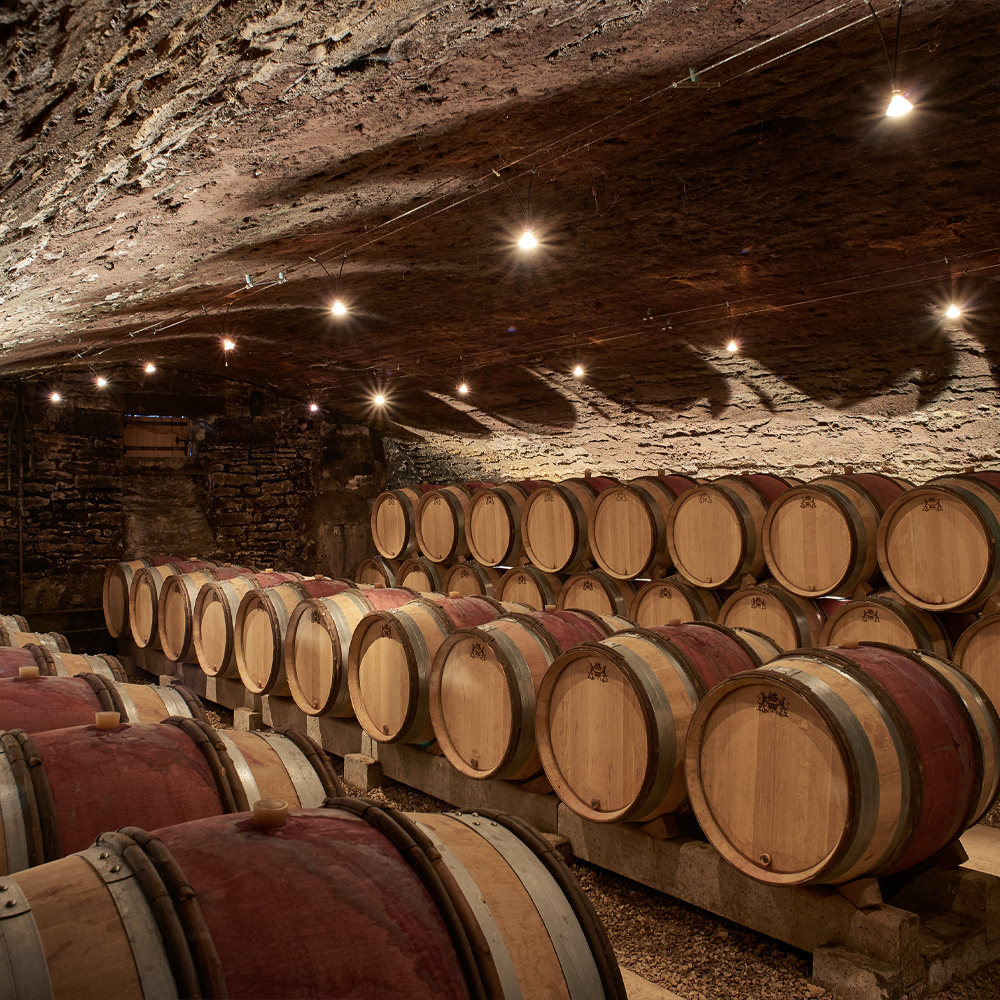 Liger Belair barrels in cellar